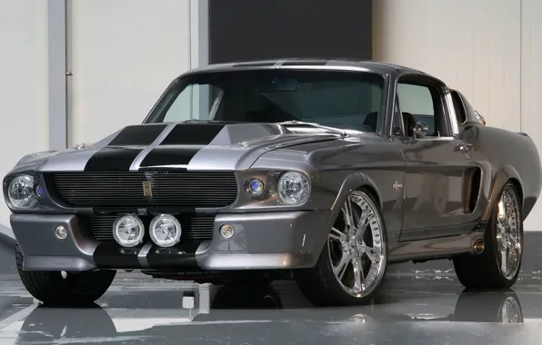 Silver, Shelby GT500, Ford Mustang, muscle car, Eleonor