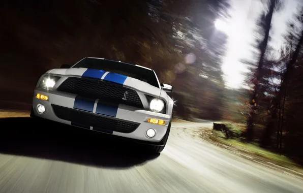 Shelby, GT500, Cobra