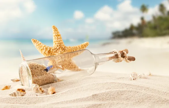 Sand, sea, beach, tropics, bottle, shell, starfish