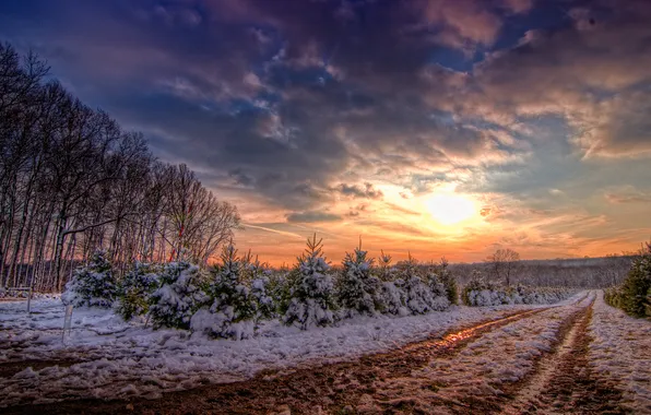 Winter, road, the sun, clouds, snow, trees, sunset, tree