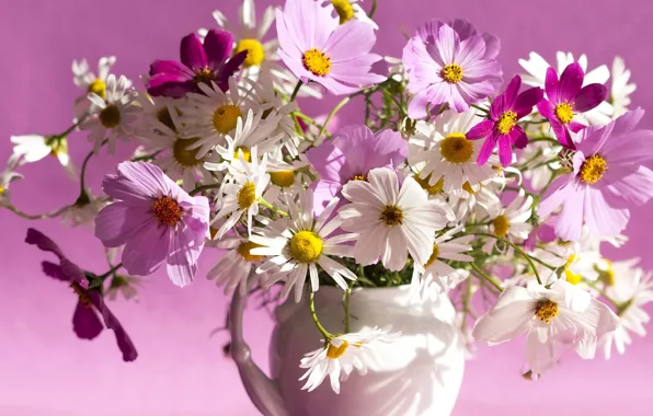 Picture flowers, bouquet, kosmeya