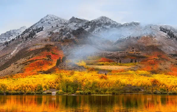 Picture autumn, forest, mountains, lake