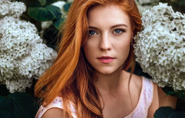 Picture look, flowers, sponge, the beauty, redhead