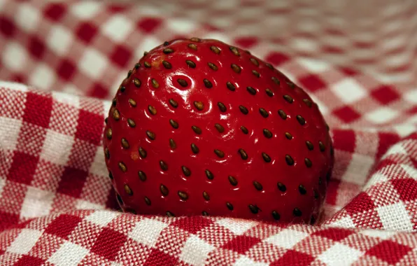 Macro, towel, strawberry, berry, fabric, red, seeds