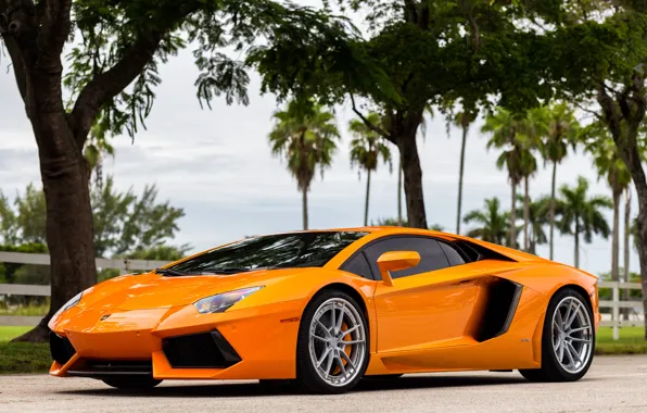 Lamborghini, Aventador, Wheels, ANRKY