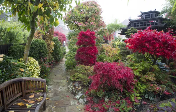 Autumn, leaves, trees, bench, fog, garden, UK, the bushes