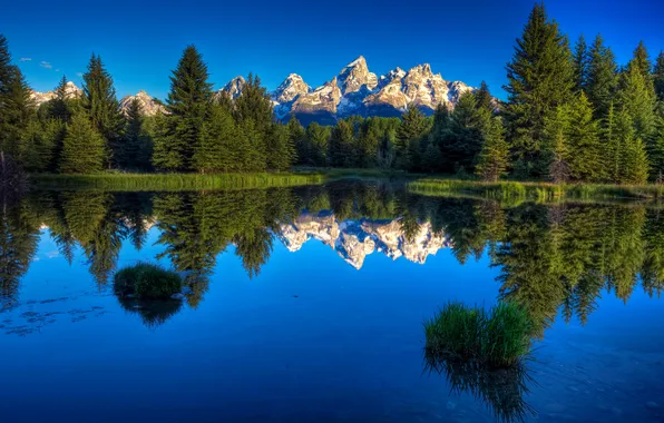 Picture forest, the sky, reflection, mountain