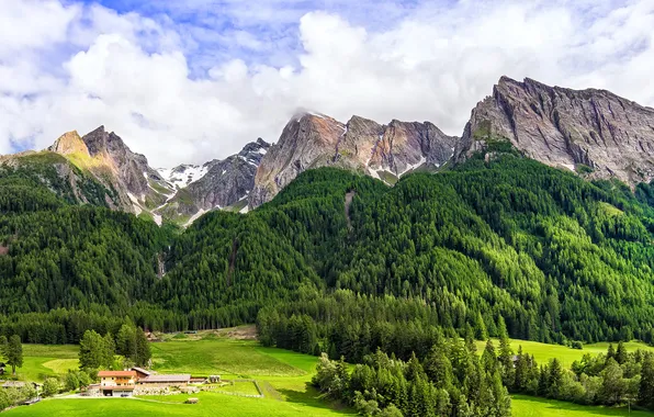 Picture forest, trees, mountains, field, Italy, house, Square