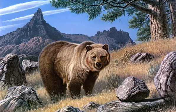 Animals, mountains, stones, painting, brown bear, fierce, boulders, grizzly