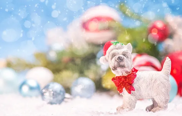 Balls, snow, holiday, toy, dog, Christmas, New year, dog