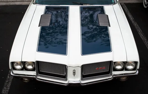 Retro, the hood, muscle car, classic, Oldsmobile 442