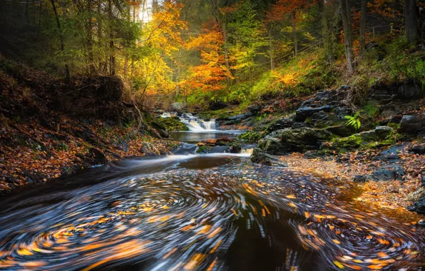 Autumn, forest, foliage, waterfall, whirlpool, pond, funnel, autumn leaves