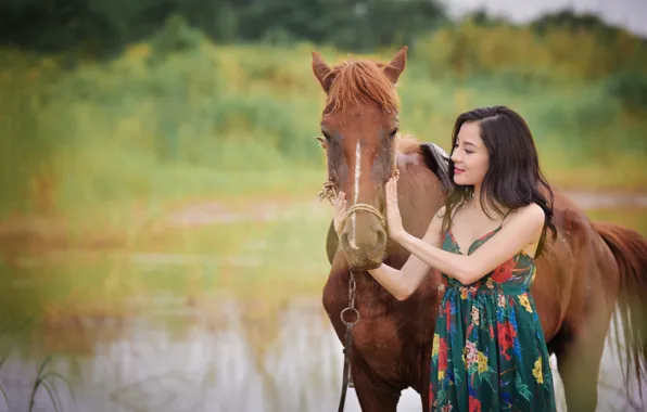 Summer, face, horse, horse, Asian