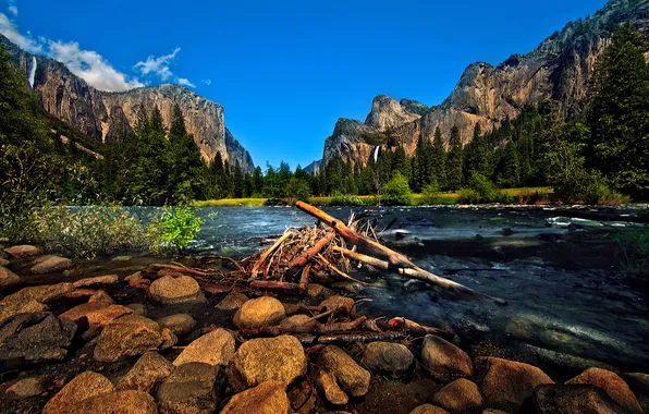 Forest, mountains, nature, river, stones