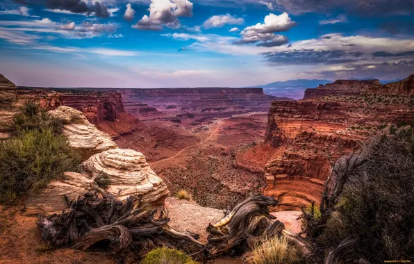 Mountains, rocks, the bushes