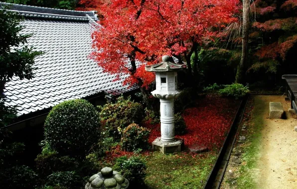 Picture autumn, garden, lights, Japan, the bushes