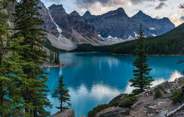 Forest, clouds, trees, mountains, nature, lake, stones, rocks