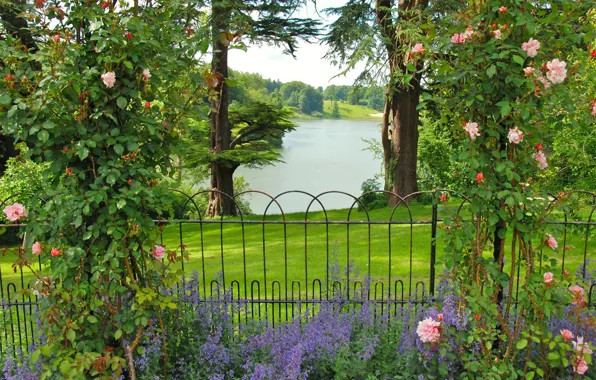 Greens, grass, trees, flowers, river, roses, garden, UK