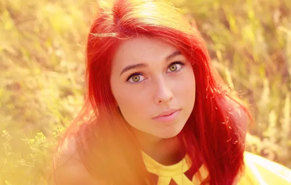 Field, devotion, trust, attention, red hair, novator, nup