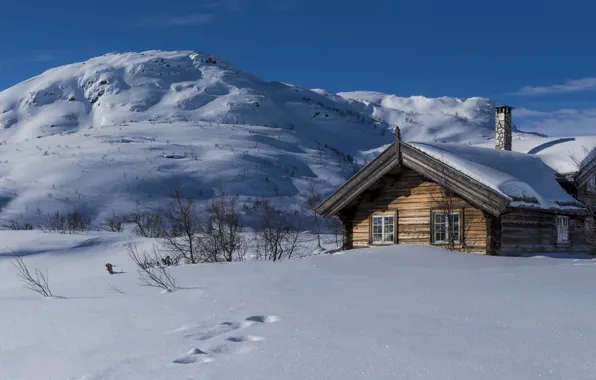 Picture winter, snow, hills, Norway, house