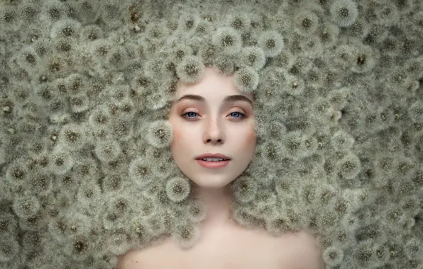 Portrait, dandelions, Alexander Vinogradov