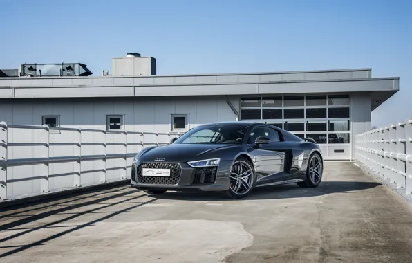 Audi, V10, More, R8