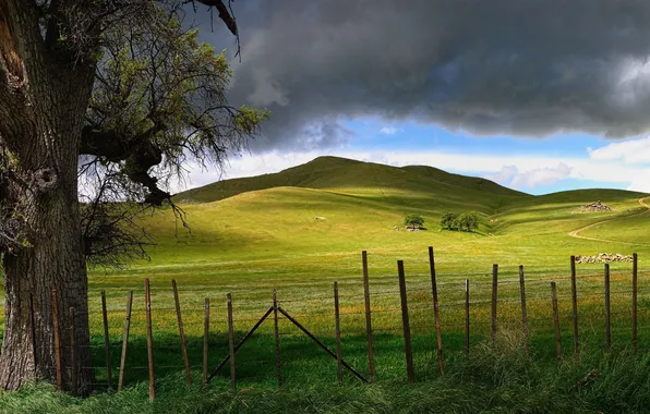 Road, clouds, trees, nature, hills, the fence, meadow, panorama