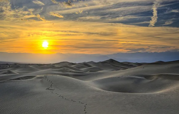 Sand, the sky, the sun, sunset, traces, desert, dunes