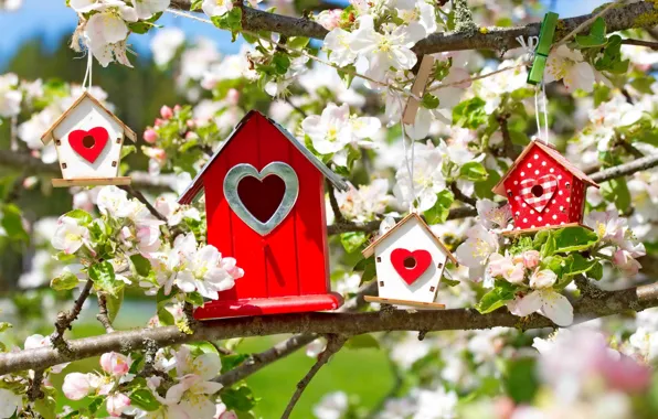 Flowers, branches, tree, heart, spring, morning, houses, Apple