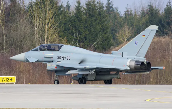 Picture fighter, multipurpose, Eurofighter, EF.2000