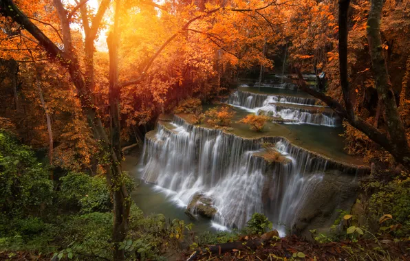 Autumn, forest, trees, rocks, shore, waterfall, cascade