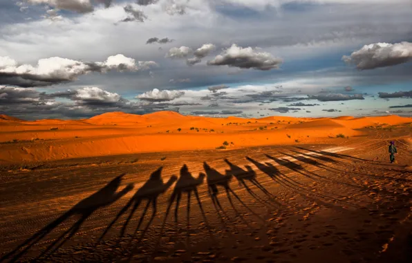 Picture desert, shadows, camels, caravan