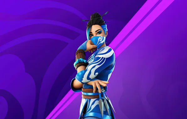 Wallpaper, picture, Fortnite, Player Character, Other games, Red Jade