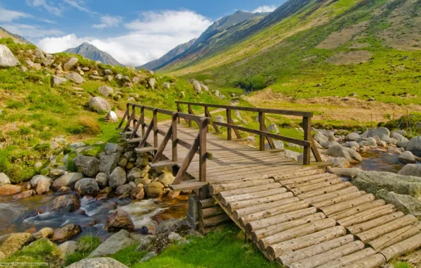 Picture road, river, nature