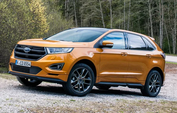 Picture Ford, Ford, Edge, crossover, edge