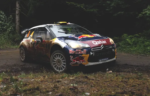 Picture forest, race, red, rally, rally, wrc, citroen, race