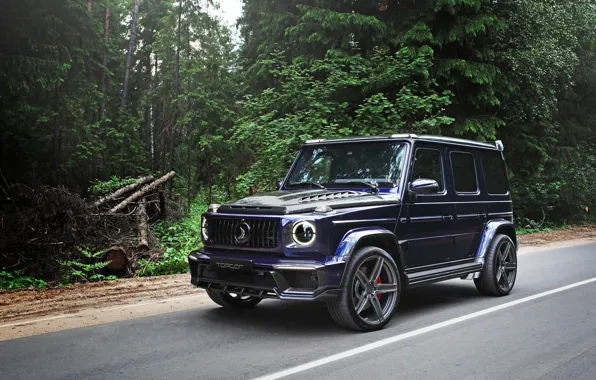 Mercedes-Benz, Mercedes, Nature, Front, Inferno, Side, Road, Ball Wed