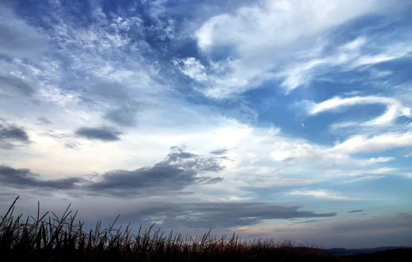 The sky, clouds