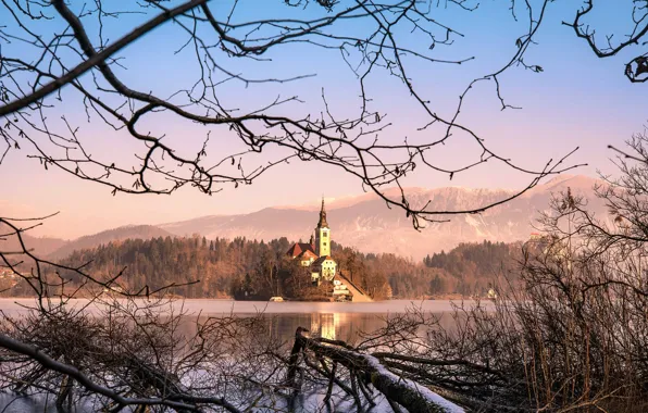 Picture winter, snow, landscape, mountains, branches, nature, lake, Church