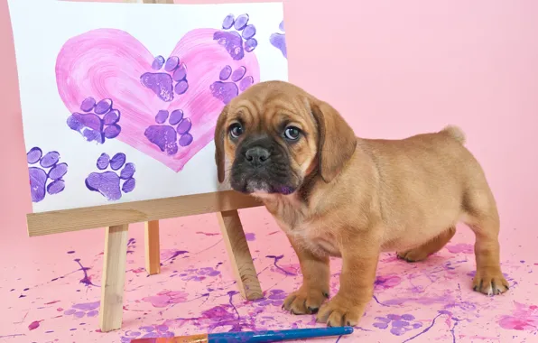Picture paint, picture, puppy, brush