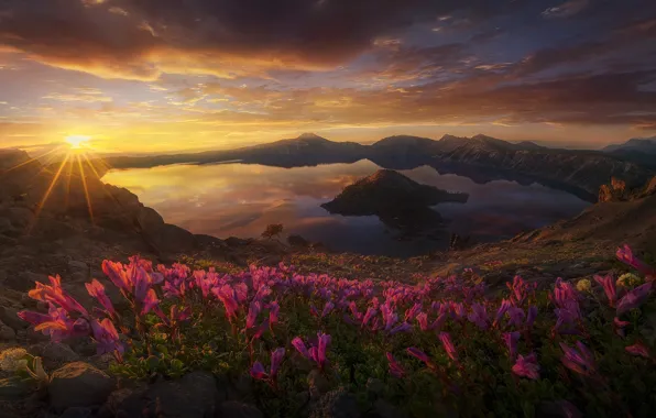 Picture the sun, flowers, lake, the volcano, USA