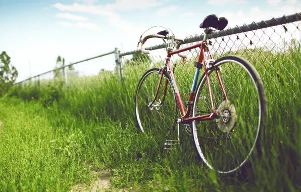GRASS, BIKE, The FENCE, The FENCE