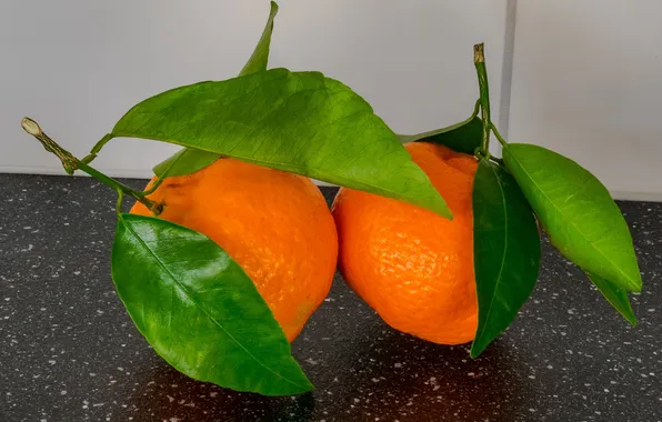 Leaves, citrus, the fruit, Mandarin