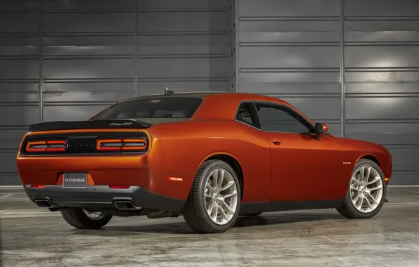 Dodge, Challenger, rear view, 50th Anniversary Edition, 2019