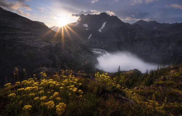 The sun, rays, light, flowers, mountains, fog, lake, rocks