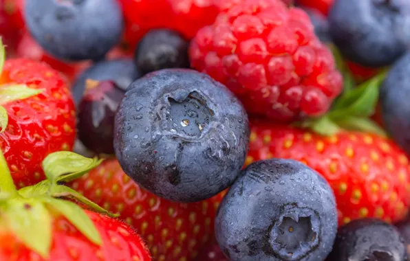 Picture macro, berries, raspberry, strawberry, blueberries