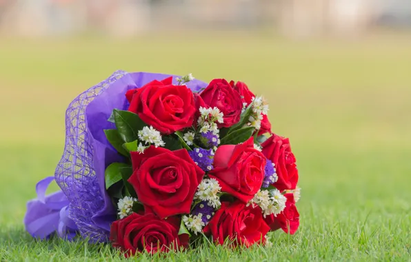 Grass, flowers, roses, bouquet, red, red, flowers, bouquet