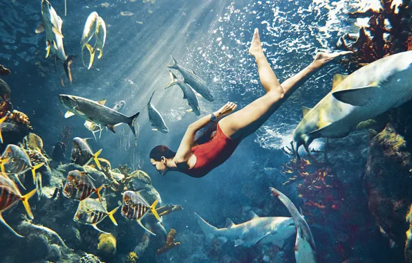 Sea, swimsuit, fish, red, model, actress, corals, brunette