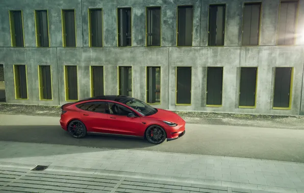 The view from the top, Tesla, Novitec, Model 3, 2019