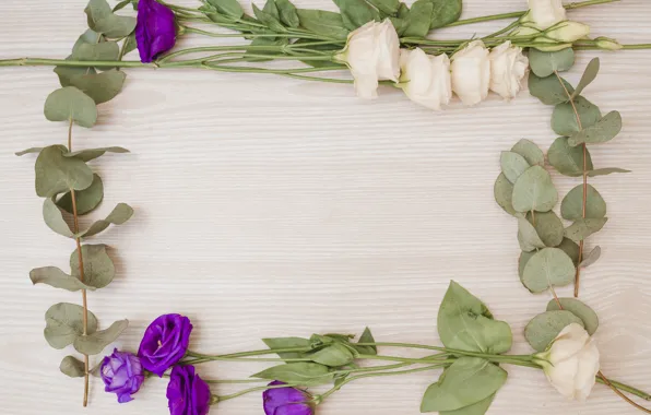 Flowers, frame, pink, flowers, purple, eustoma, frame, eustoma